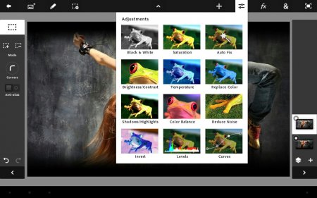 Adobe® Photoshop® Touch v.1.7.5