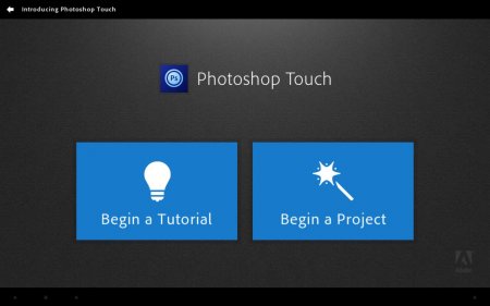 Adobe® Photoshop® Touch v.1.7.5