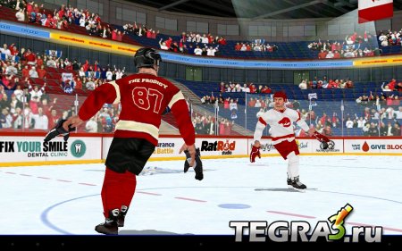 Hockey Fight Pro (Хоккейные Драки) v1.6 [свободные покупки]