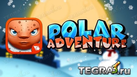  Polar Adventure